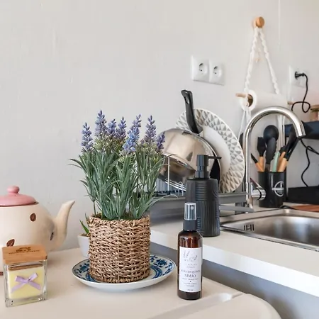 Сasa de vacaciones Tiny House